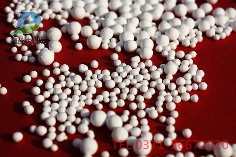 ���������X�İl(f��)չ��ǰ��