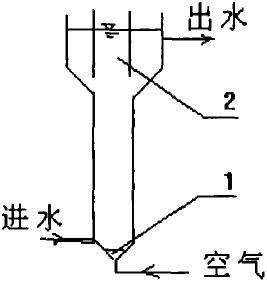 �����������Y(ji��)��(g��u)�İl(f��)չ